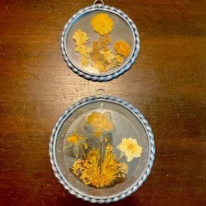 🔥 3 FOR $20 SALE! Vintage Pressed Flower Round Suncatcher Preserved Flowers